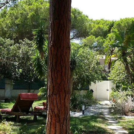 Villa Sardinian Pearl *
